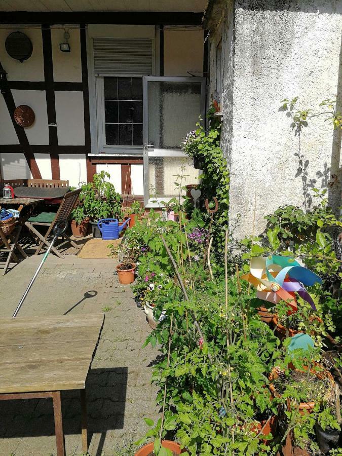 Ferienwohnung Burg Lindenfels Zewnętrze zdjęcie